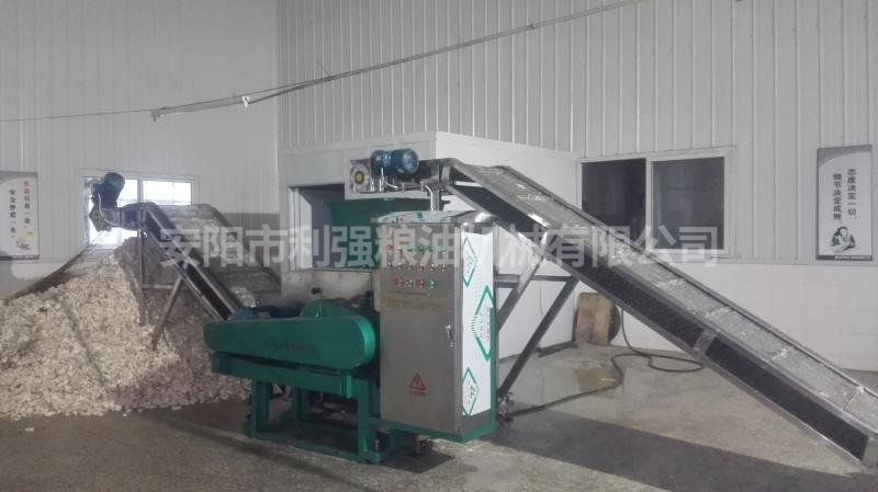 专业针对异形动物生冻块粉碎机